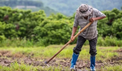 Türkiye’de 50 bin kooperatif, 5 milyona yakın ortak bulunuyor