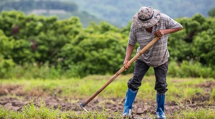 Türkiye’de 50 bin kooperatif, 5 milyona yakın ortak bulunuyor
