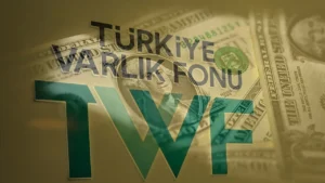 Türkiye Varlık Fonu başarı grafiğini yukarı taşıyor 3 varlik fonu bksz cover