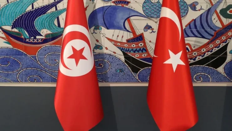 Tunus pazarı Türk şirketleri için yeni büyüme alanı oluyor