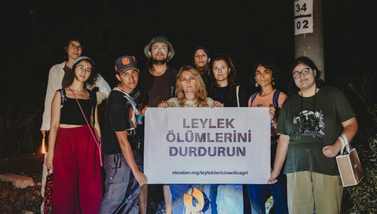 Leylek ölümleri sürüyor: Küçükçekmece’de bir haftada 101 leylek öldü