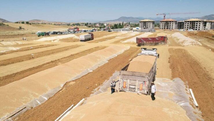TMO’dan buğdayda satış hamlesi! Tarih belli oldu
