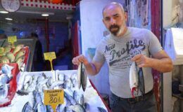 Karadeniz’de palamut fışkırıyor: Tezgahlarda bereket başladı