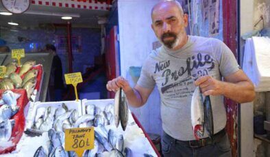 Karadeniz’de palamut fışkırıyor: Tezgahlarda bereket başladı