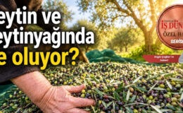 Reşit Özer’den zeytinyağında acil müdahale çağrısı