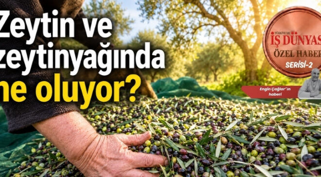 Reşit Özer’den zeytinyağında acil müdahale çağrısı