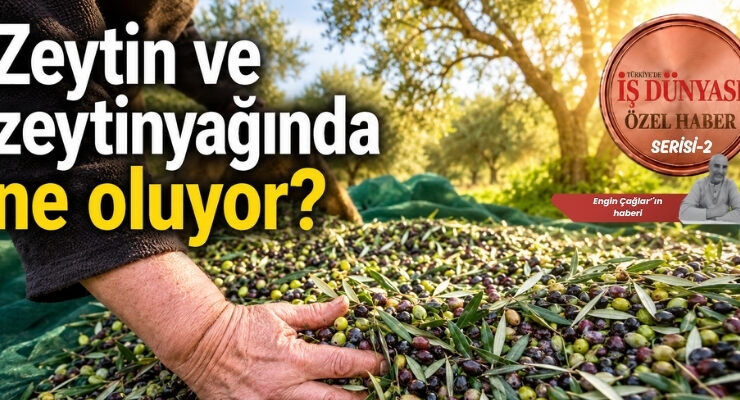 Reşit Özer’den zeytinyağında acil müdahale çağrısı