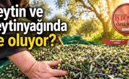 Reşit Özer’den zeytinyağında acil müdahale çağrısı