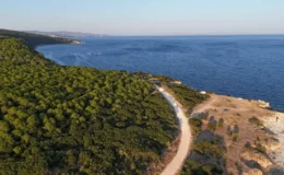 Saros Körfezi’nin su altındaki yeni gözdesi tank batığı oldu