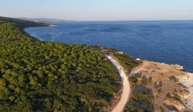 Saros Körfezi’nin su altındaki yeni gözdesi tank batığı oldu