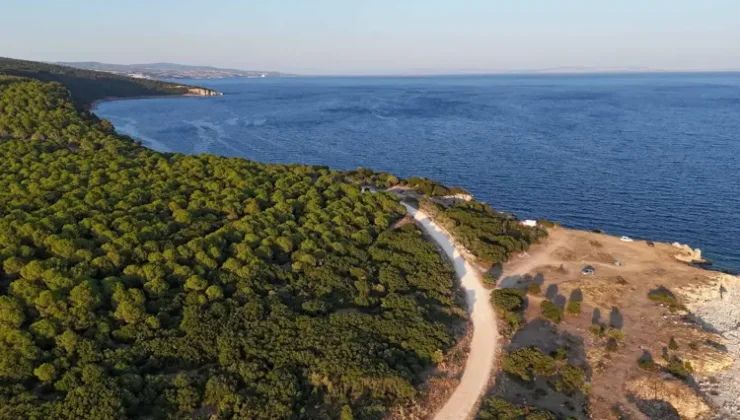 Saros Körfezi’nin su altındaki yeni gözdesi tank batığı oldu