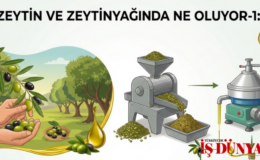 Uçar’dan acil destek çağrısı
