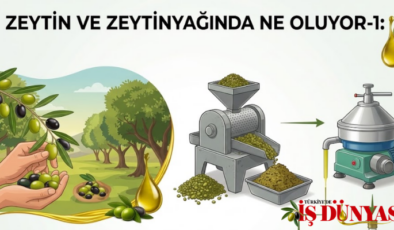 Uçar’dan acil destek çağrısı