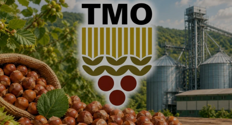 TMO fındıkta kademeli fiyat ve 10 ay alım modeline geçmeli
