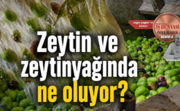 Zeytincilikte ABD vergisi ve finansman krizi uyarısı