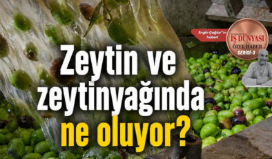 Zeytincilikte ABD vergisi ve finansman krizi uyarısı