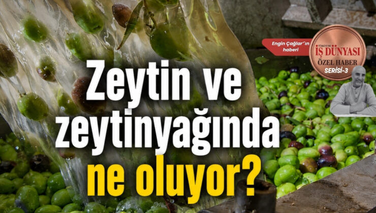 Zeytincilikte ABD vergisi ve finansman krizi uyarısı