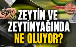 Edremit Ticaret Odası’ndan zeytinyağı için acil destek çağrısı