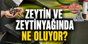 Edremit Ticaret Odası’ndan zeytinyağı için acil destek çağrısı