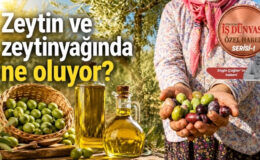 Uçar’dan acil destek çağrısı
