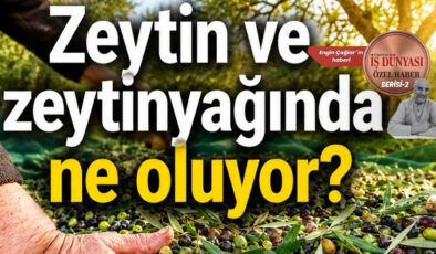 Reşit Özer’den zeytinyağında acil müdahale çağrısı