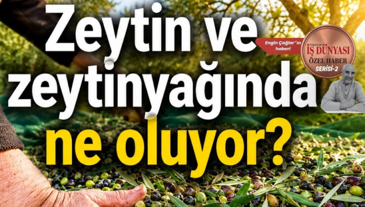 Reşit Özer’den zeytinyağında acil müdahale çağrısı