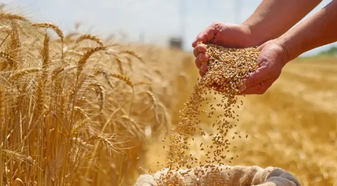 Türkiye’nin hububat ve gıda ihracatı 6,9 milyar dolara ulaştı