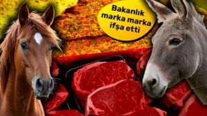 Tarım ve Orman Bakanlığından dev ifşa listesi: İşte at ve eşek eti yediren markalar!