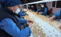 Fındık ihracatı 11 ayda 2,4 milyar dolar gelir getirdi