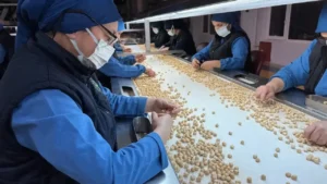Fındık ihracatı 11 ayda 2,4 milyar dolar gelir getirdi