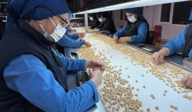 Fındık ihracatı 11 ayda 2,4 milyar dolar gelir getirdi