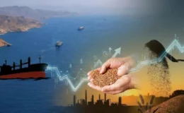 Küresel gıda hedeflerinde ilerleme sınırlı kaldı