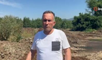 Kimyasal gübreye karşı doğal çözüm maliyeti sıfıra indirdi