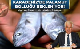 Palamutta rekor sezon beklentisi: Tanesi 50 liraya kadar düşebilir