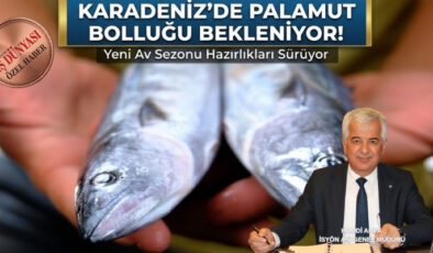 Palamutta rekor sezon beklentisi: Tanesi 50 liraya kadar düşebilir