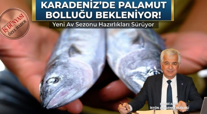 Palamutta rekor sezon beklentisi: Tanesi 50 liraya kadar düşebilir