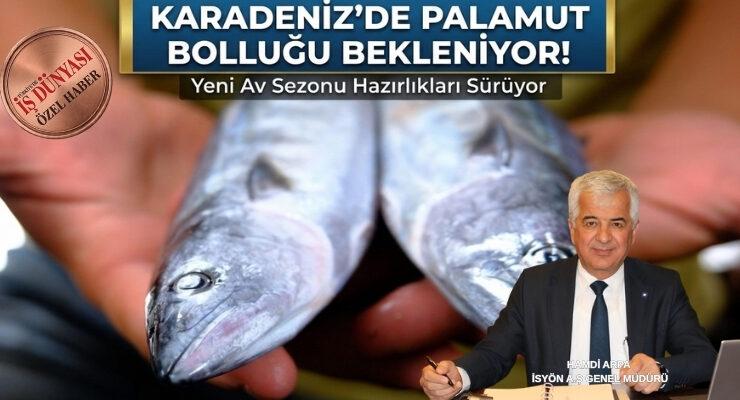 Palamutta rekor sezon beklentisi: Tanesi 50 liraya kadar düşebilir