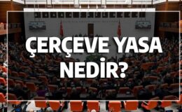Çerçeve Yasa nedir? Hukuki niteliği ve uygulaması