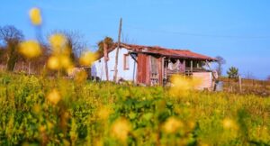 Resmi Gazete’de yayımlandı: Bağ evi için arazi şartı değişti