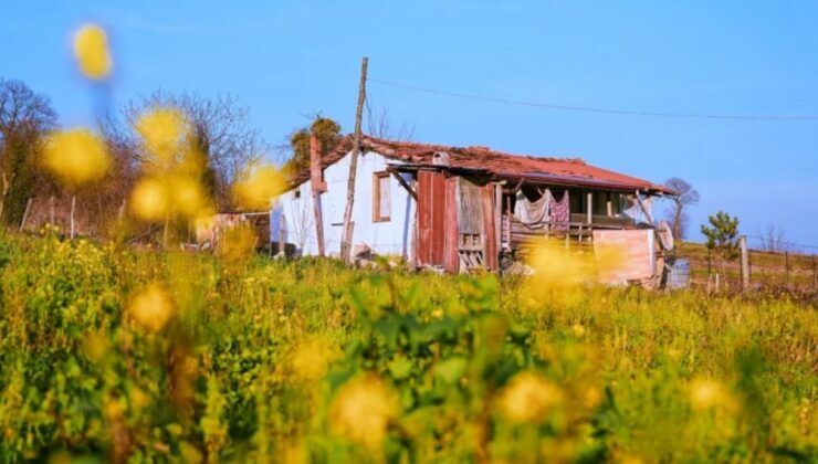 Resmi Gazete’de yayımlandı: Bağ evi için arazi şartı değişti