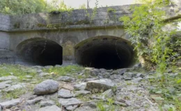 İngiltere ve Galler’de 115 yılın en kurak temmuzu