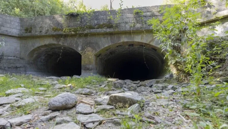İngiltere ve Galler’de 115 yılın en kurak temmuzu