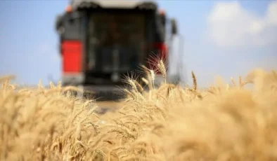 Küresel gıda fiyatları 3,5 yılın zirvesine çıktı