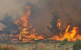 Orman yangınları iş dünyasının risk haritasını değiştiriyor
