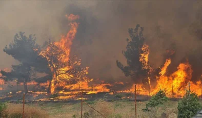 Orman yangınları iş dünyasının risk haritasını değiştiriyor
