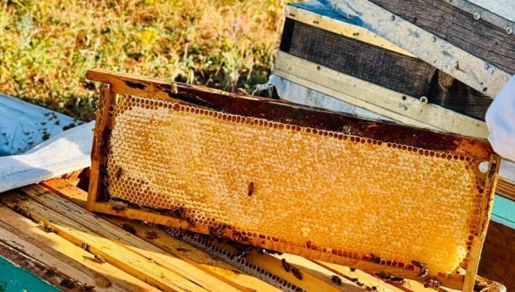 Antik çağların şifa kaynağı günümüz sofralarıyla buluşuyor
