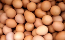 Toptan yumurta fiyatında artış: Duble boy yumurtanın adedi 4,10 liraya çıktı!