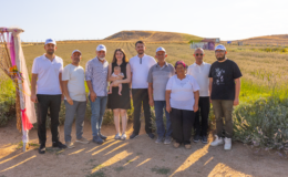 Kırıkkaleli üretici çiftin 7 yıllık lavanta tarlası tarlada kalmadı