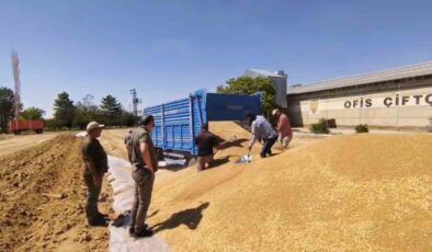 Konya’da TMO’dan yaklaşık 2 milyon ton hububat alımı