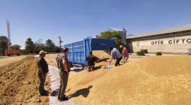 Konya’da TMO’dan yaklaşık 2 milyon ton hububat alımı